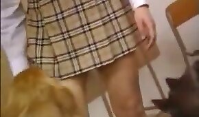 sexo de cachorro,sexo foda animal